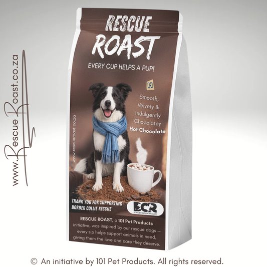 Hot Chocolate - Border Collie Rescue