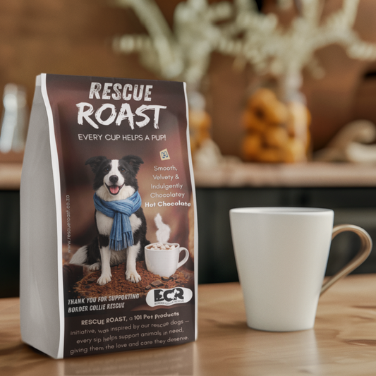 Hot Chocolate - Border Collie Rescue