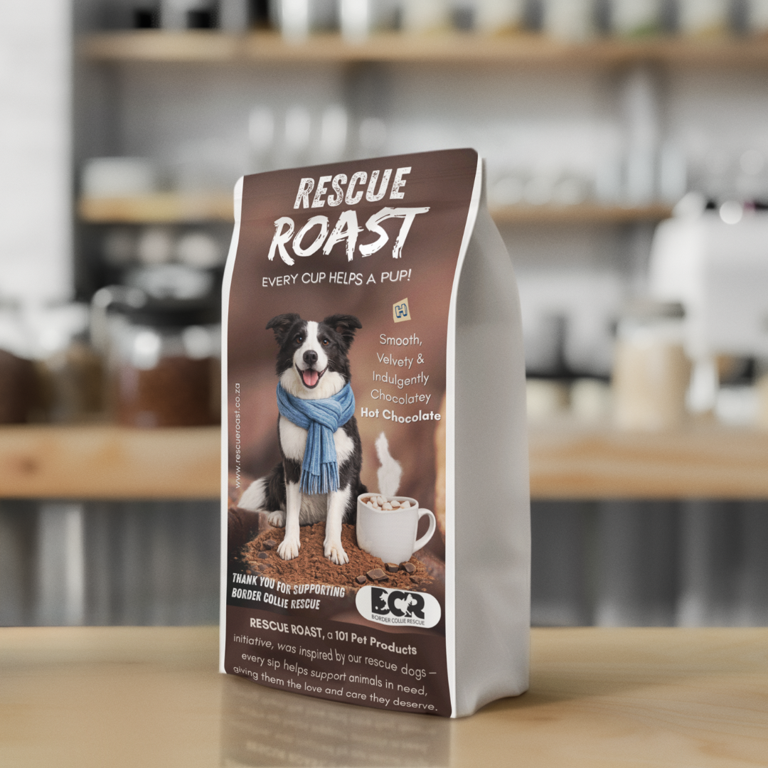 Hot Chocolate - Border Collie Rescue