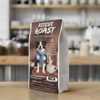 Hot Chocolate - Border Collie Rescue