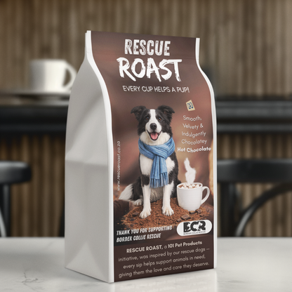 Hot Chocolate - Border Collie Rescue