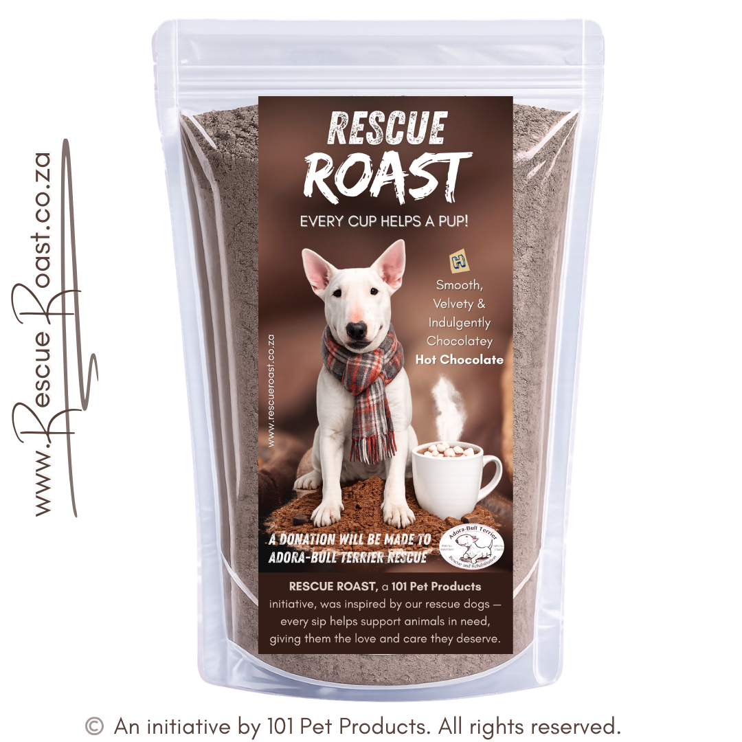 Hot Chocolate - Adora-Bull Bull Terrier Rescue