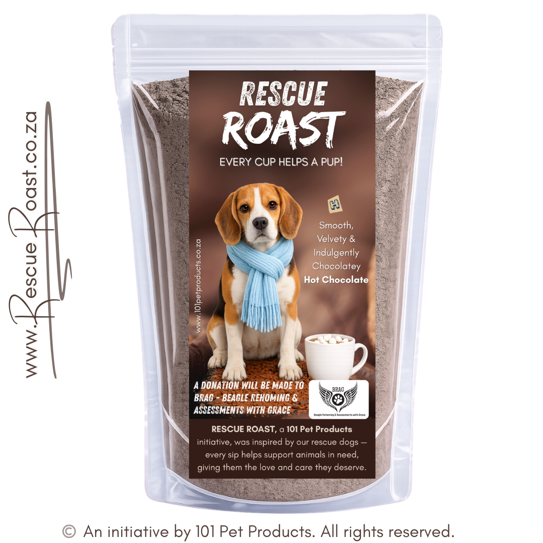 Hot Chocolate - BRAG - Beagle Rehoming and Assessments with Grace