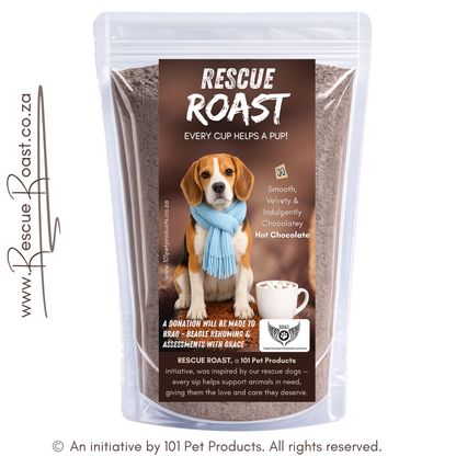 Hot Chocolate - BRAG - Beagle Rehoming and Assessments with Grace