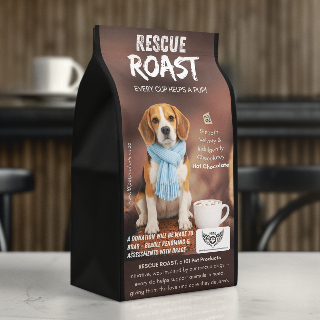 Hot Chocolate - BRAG - Beagle Rehoming and Assessments with Grace