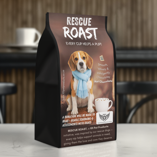 Hot Chocolate - BRAG - Beagle Rehoming and Assessments with Grace
