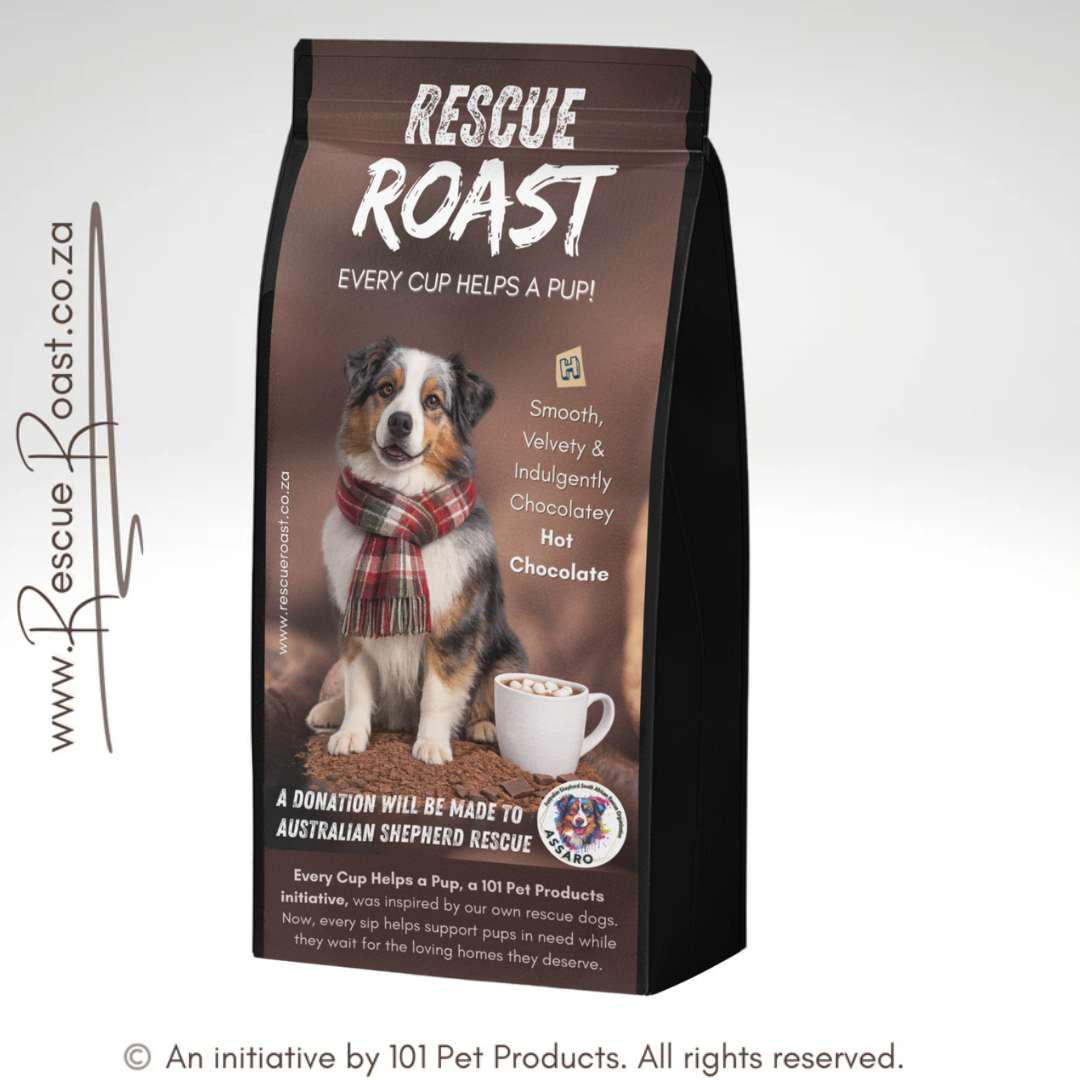 Hot Chocolate - Australian Shepherd SA Rescue Org