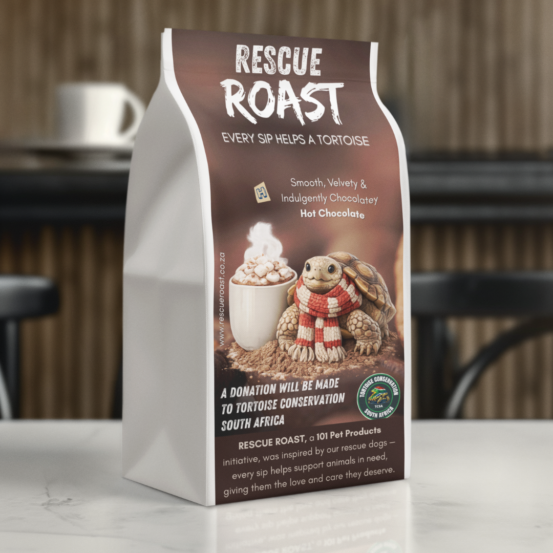 Hot Chocolate - Tortoise Conservation SA