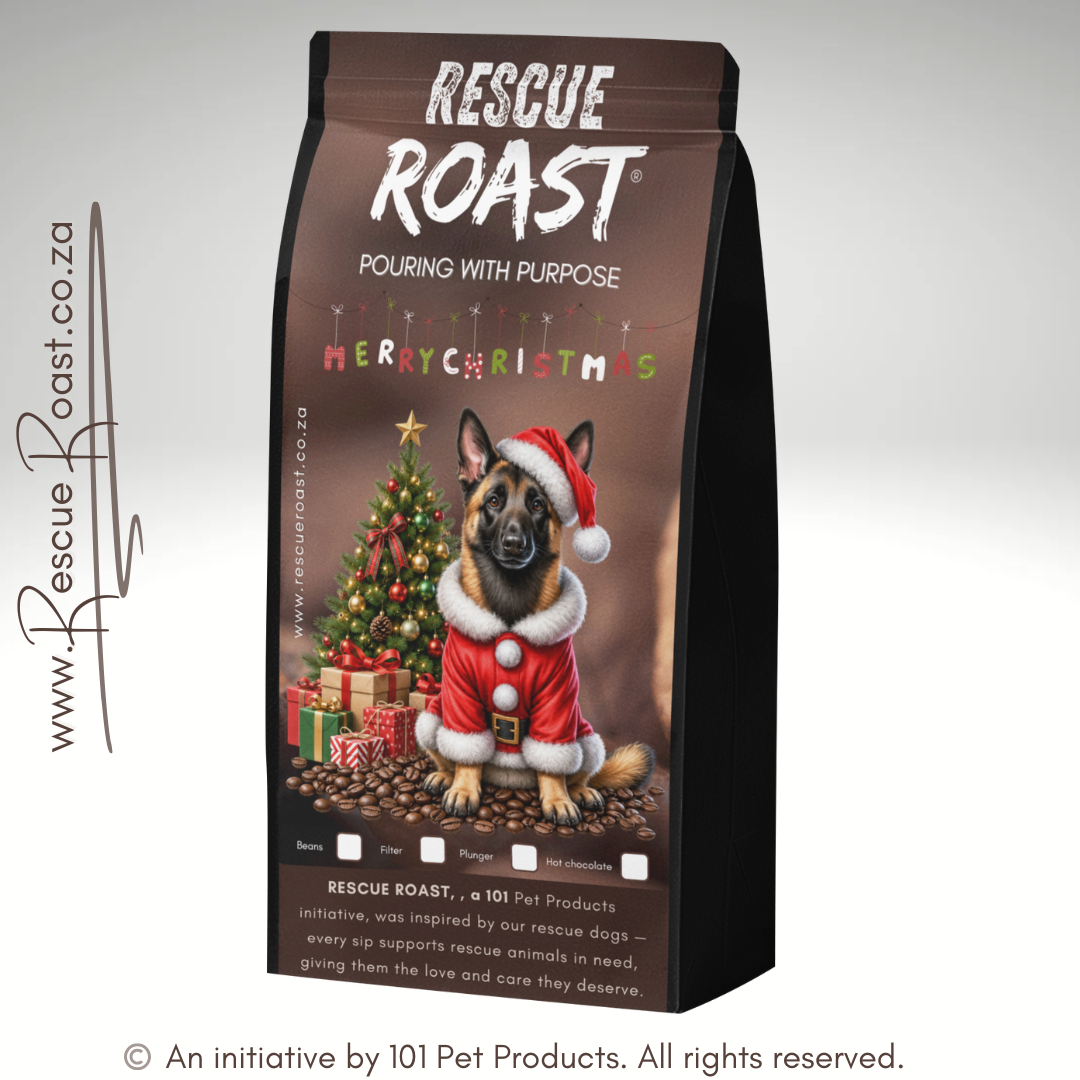 Belgian Malinois - Christmas Edition (A)