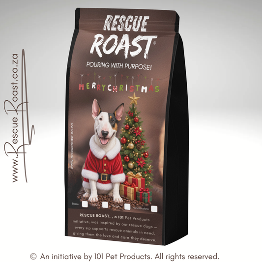 Bullterrier - Christmas Edition (A)