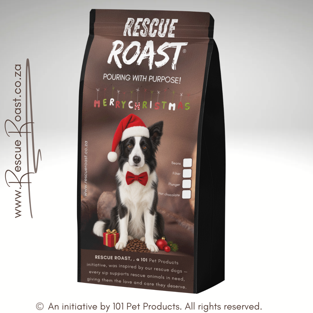Border Collie - Christmas Edition (B)