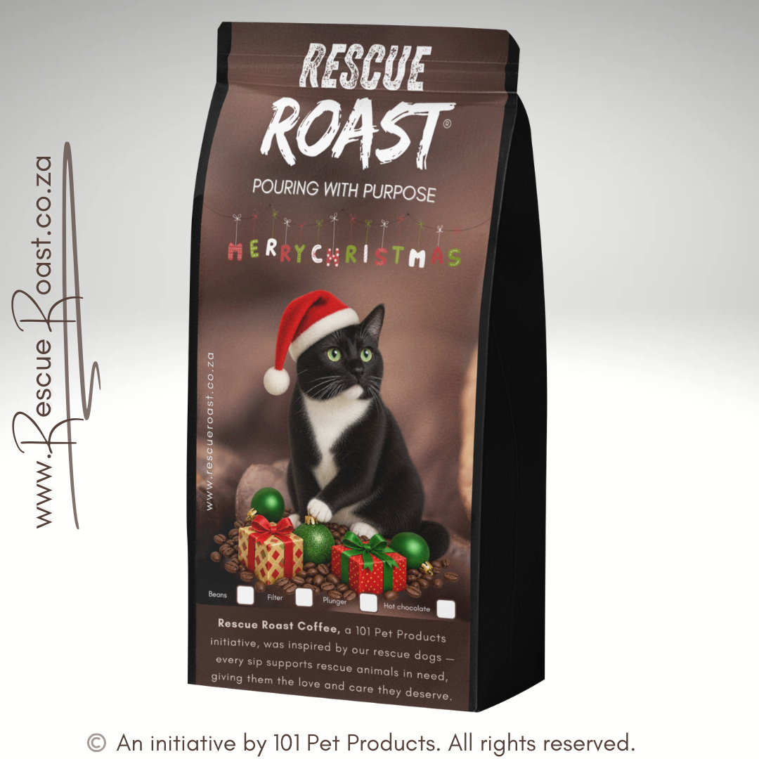 Cat 2 - Christmas Edition (B)