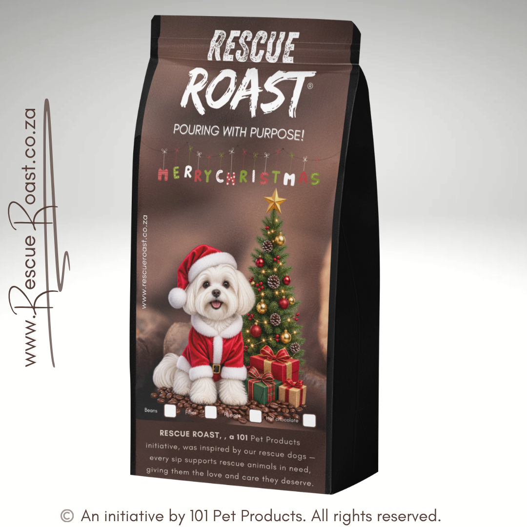 Maltese - Christmas Edition A