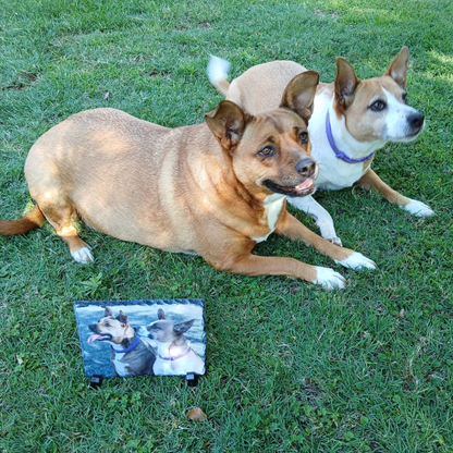 Celebration stone with stand