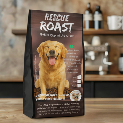 Sunshine in a Cup (Golden Retriever Rescue SA) #1