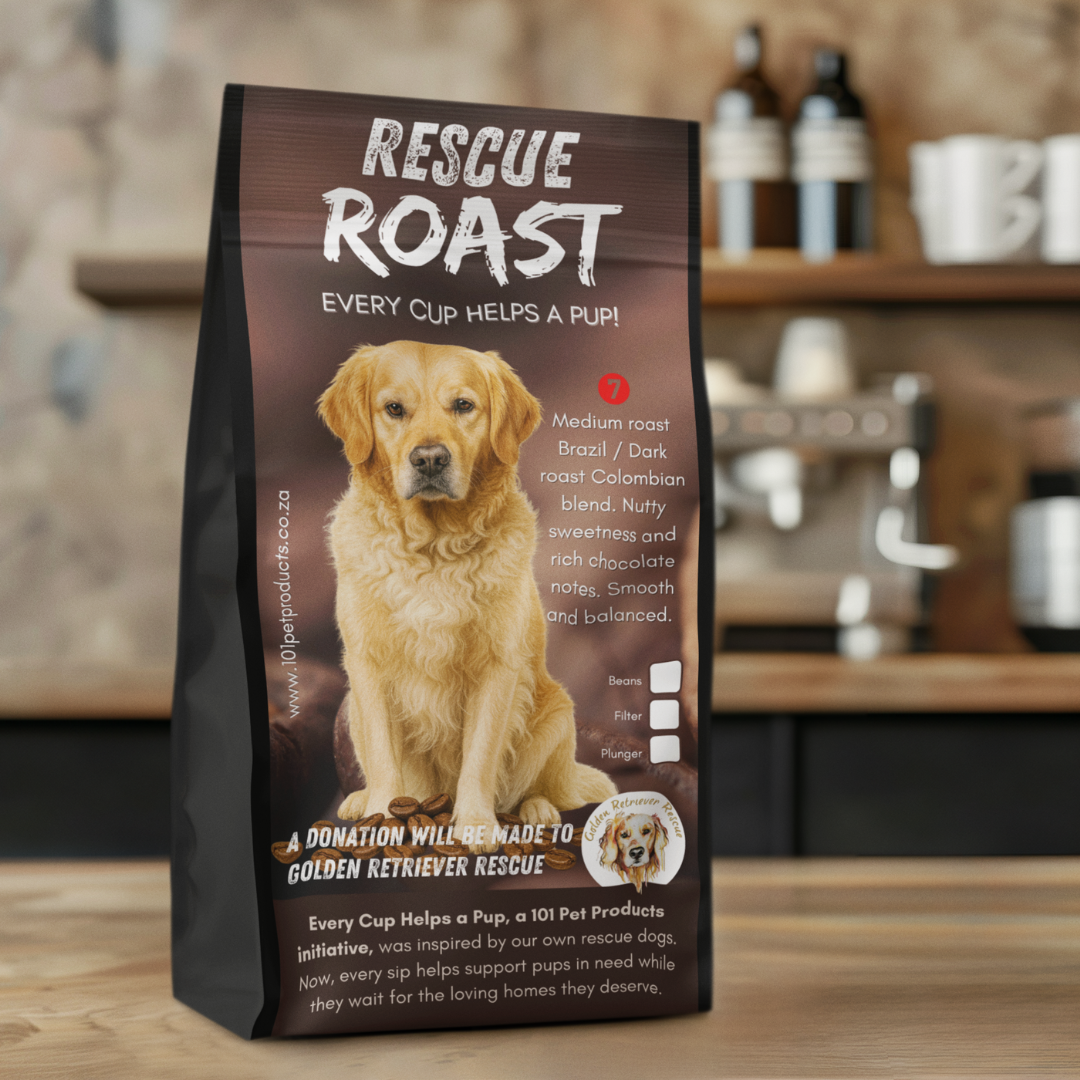 Golden Heart Bold (Golden Retriever Rescue SA) #3