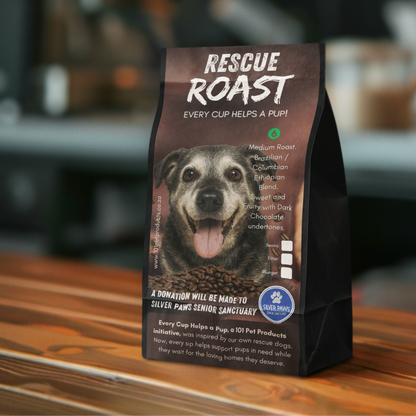 Gentle Grey Roast (Silver Paws Senior Sanctuary) #1