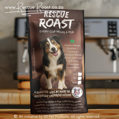Blue Merle Morning (Australian Shepherd SA Rescue Org) #1