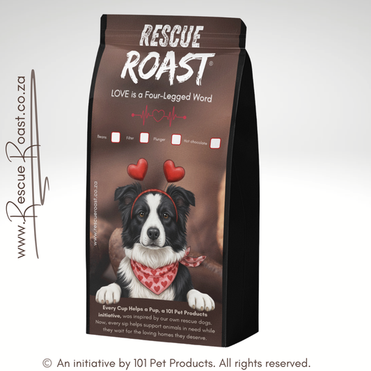 Border Collie - Valentines Edition (A)
