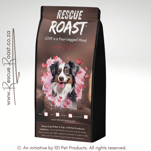 Border Collie - Valentines Edition (B)