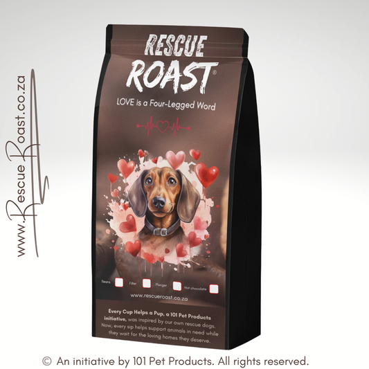 Dachshund - Valentines Edition 2