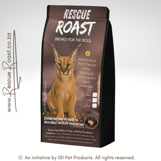 Caracal Whisper (Wild Heart Wildlife Foundation) #2