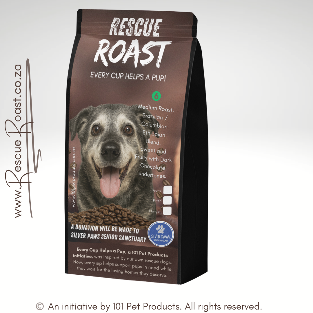 Gentle Grey Roast (Silver Paws Senior Sanctuary) #1