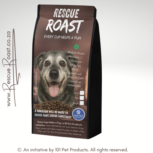 Gentle Grey Roast (Silver Paws Senior Sanctuary) #1