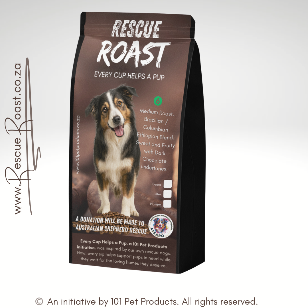 Blue Merle Morning (Australian Shepherd SA Rescue Org) #1