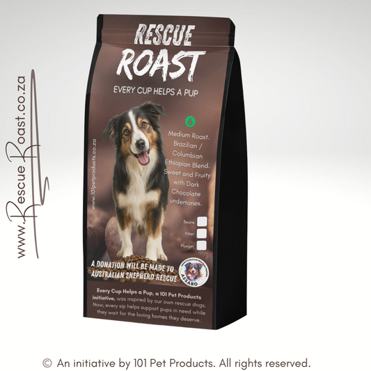 Blue Merle Morning (Australian Shepherd SA Rescue Org) #1