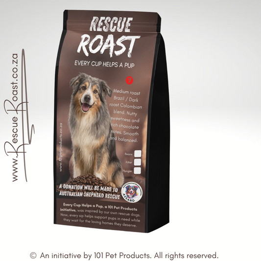 Outback Bold (Australian Shepherd SA Rescue Org) #3