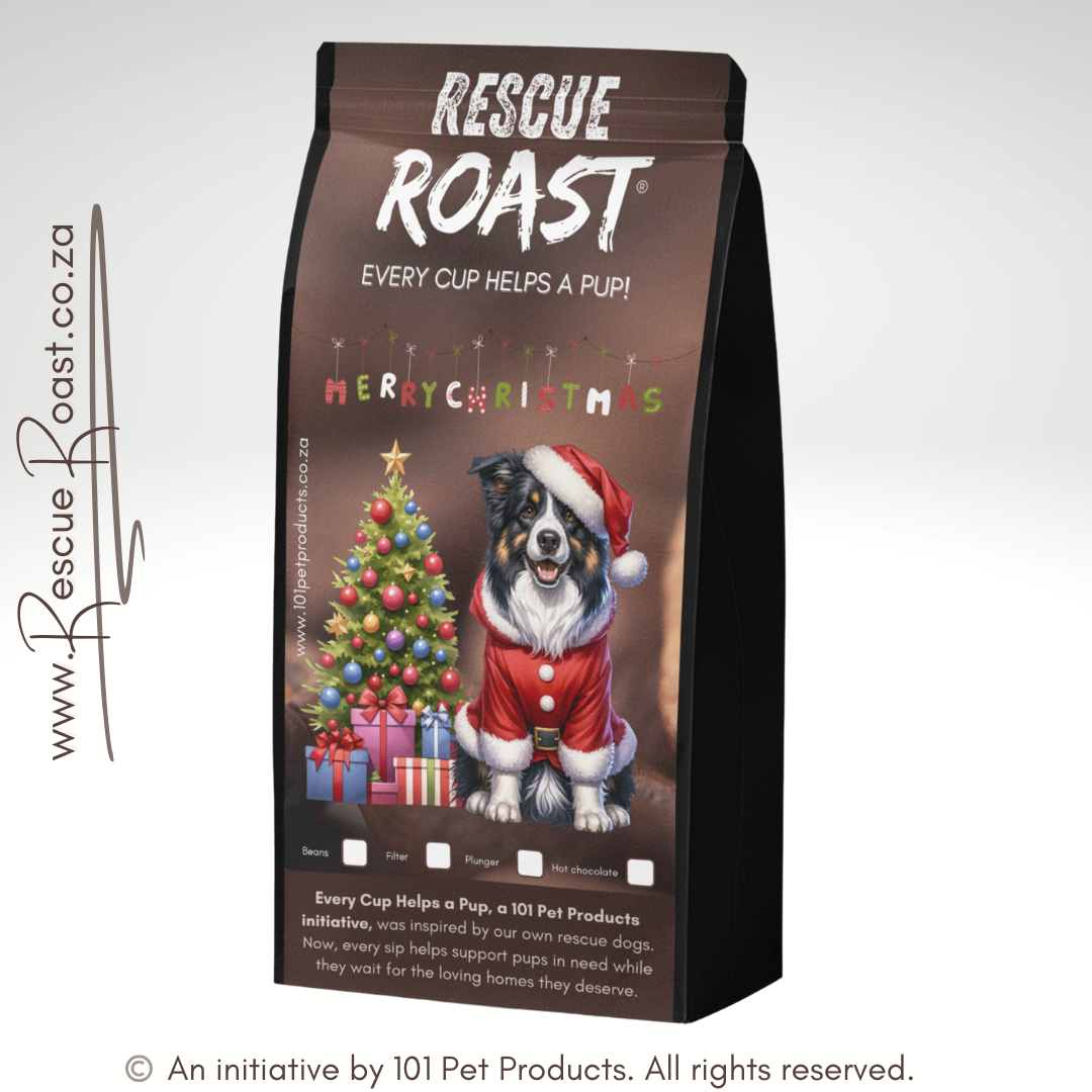 Border Collie - Christmas Edition (A)