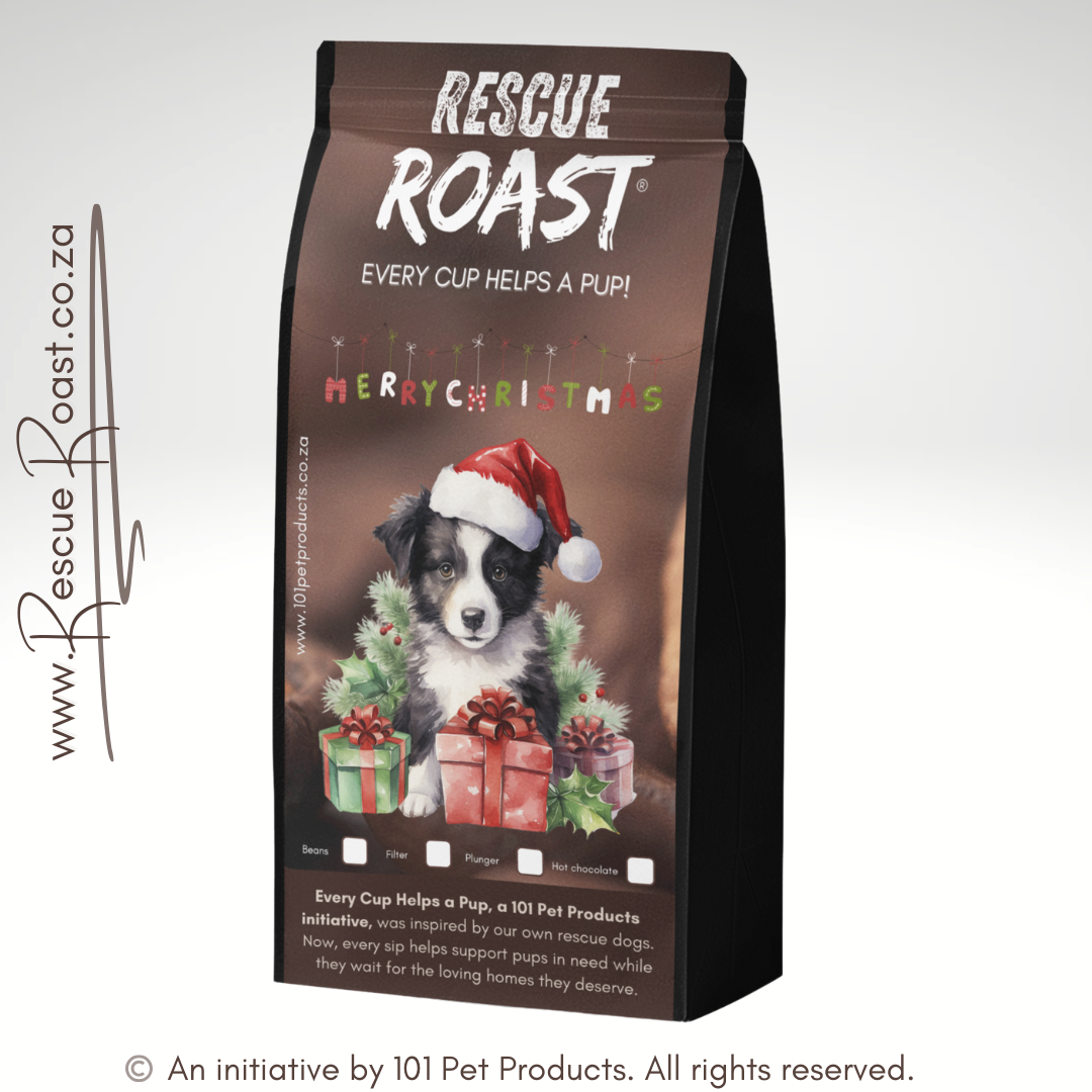 Border Collie - Christmas Edition (C)