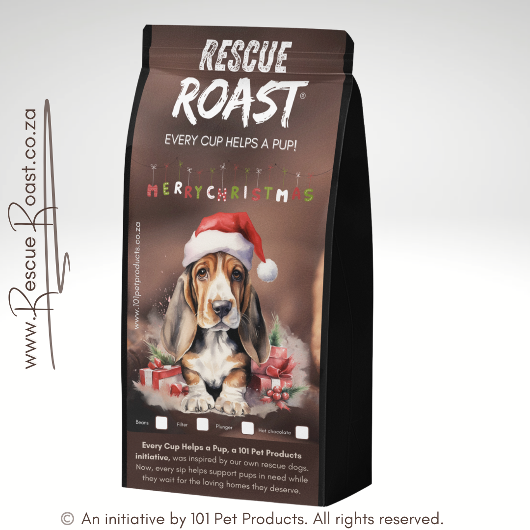 Basset - Christmas Edition (C)