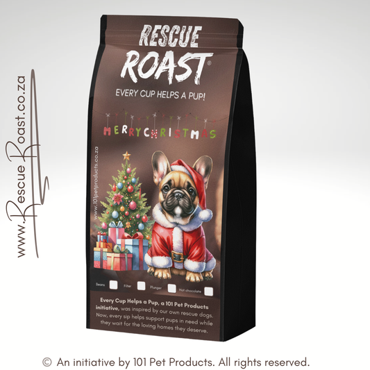 Frenchie - Christmas Edition (A)