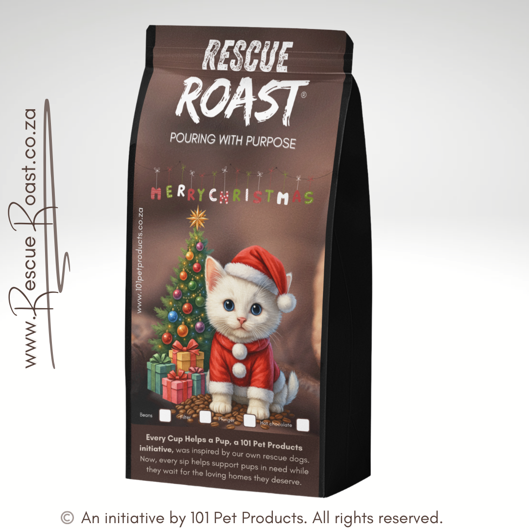 Cat 2 - Christmas Edition (A)