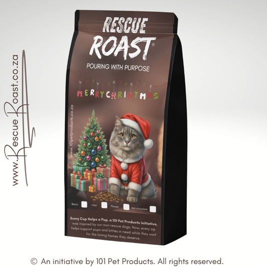 Christmas Edition Cat 1 A (Orkney and Klerksdorp Animal Shelter)