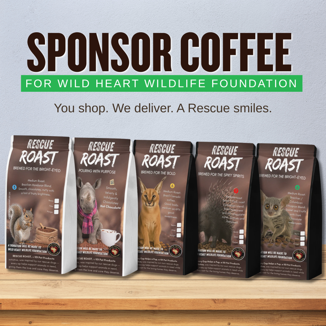 Sponsor Coffee for a Rescue - WILD HEART WILDLIFE FOUNDATION