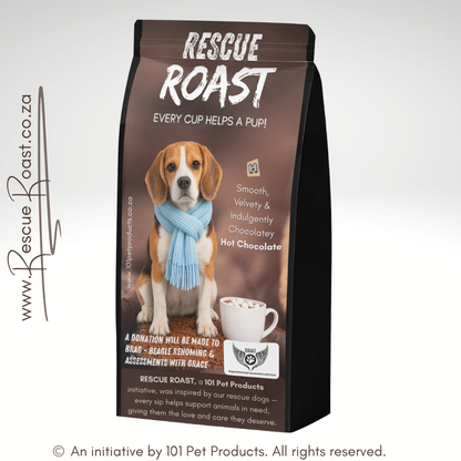 Hot Chocolate - BRAG - Beagle Rehoming and Assessments with Grace