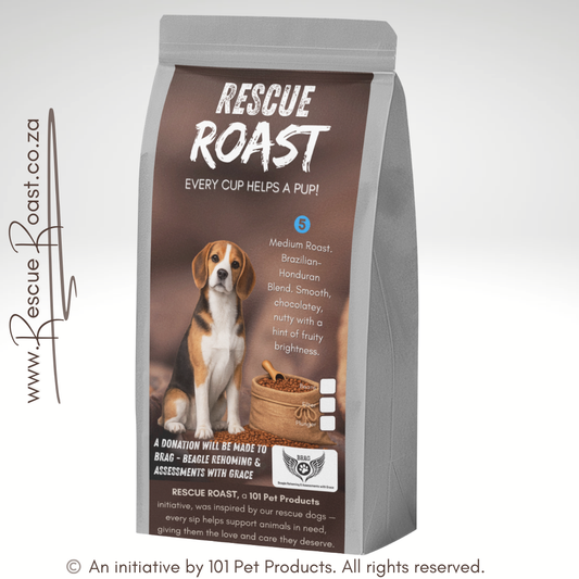 Everyday Hero (BRAG - Beagle Rehoming and Assessments with Grace) #4