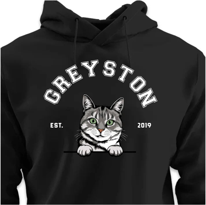 College HOODIE (Unisex)