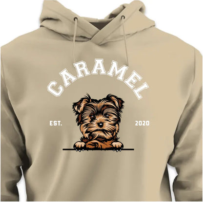 College HOODIE (Unisex)
