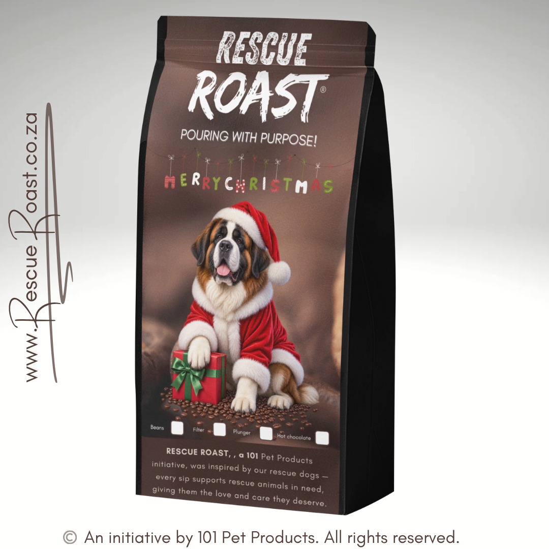 Saint Bernard - Christmas Edition B