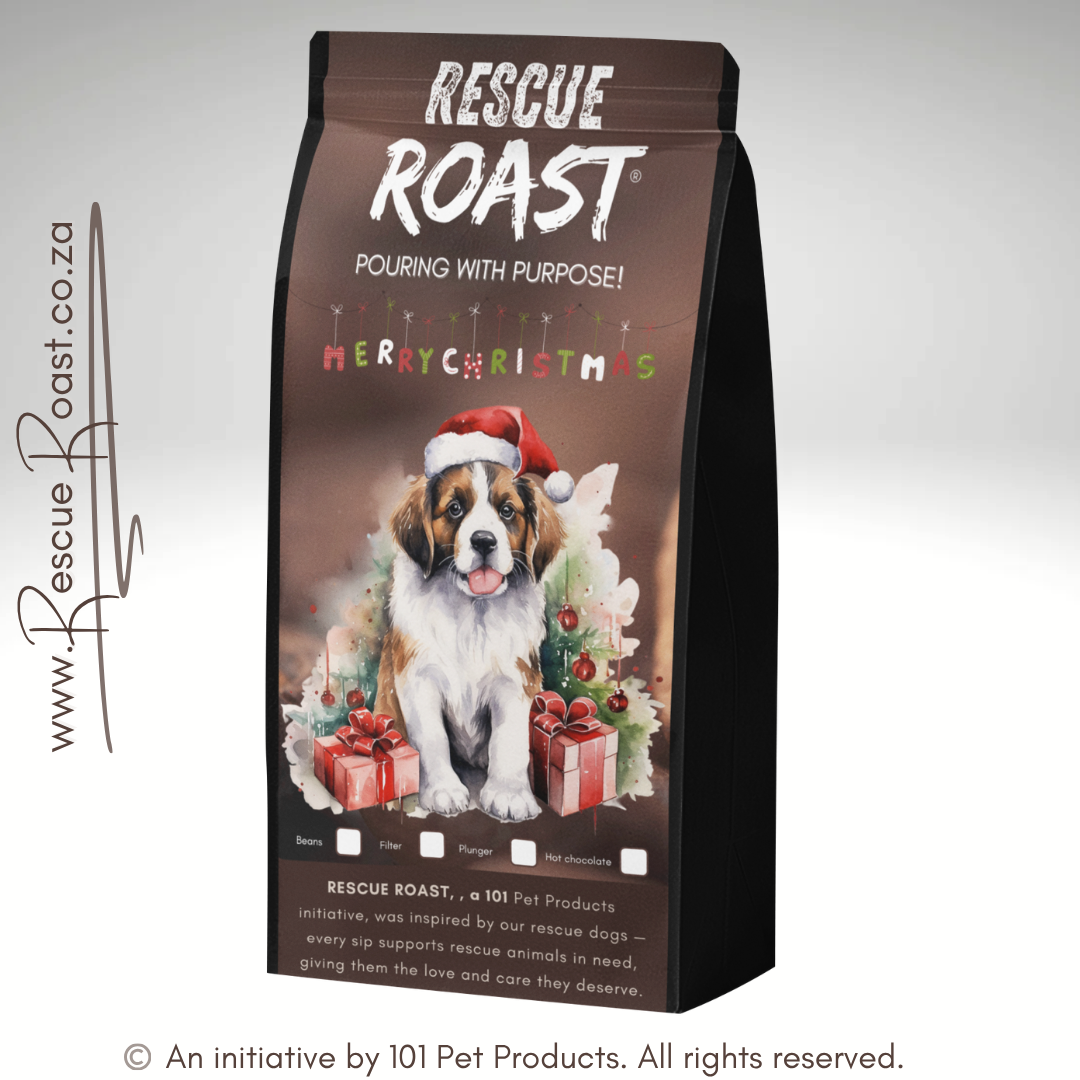 Saint Bernard - Christmas Edition C