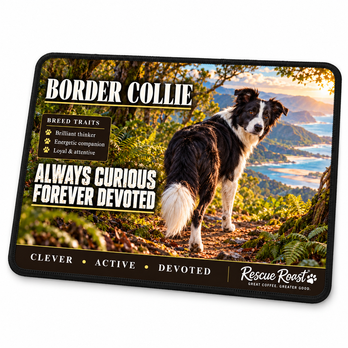 Rescue Roast® Border Collie mousepad: Black-and-white Border Collie looking back on a forest trail overlooking the coast, with the words “Always Curious, Forever Devoted”