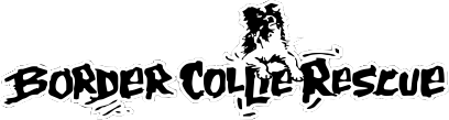 Border Collie Rescue logo