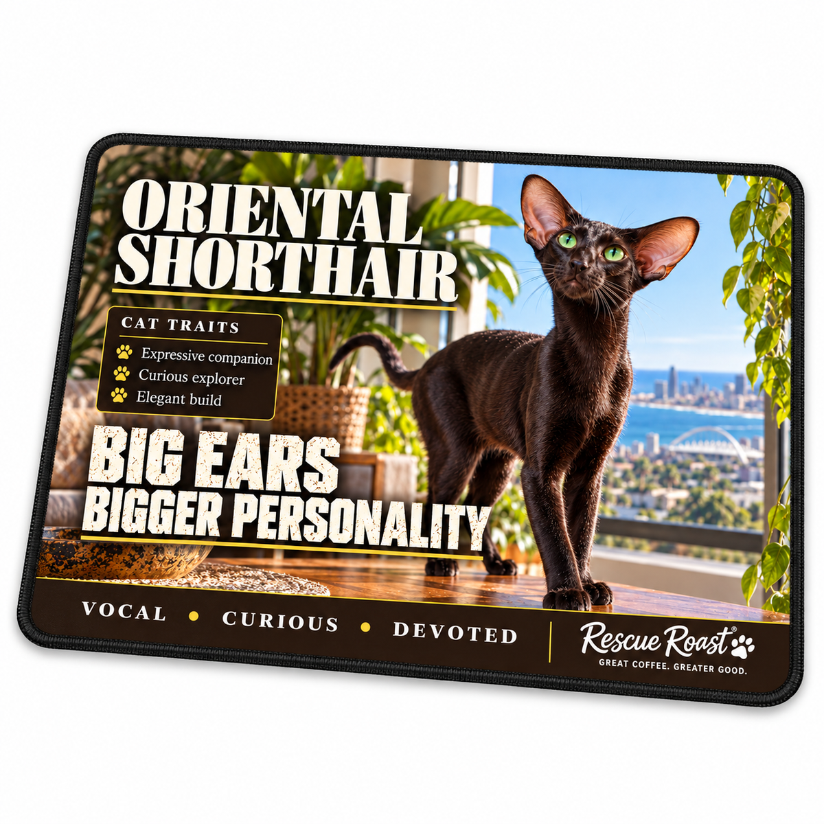 Rescue Roast Oriental Shorthair mousepad: A sleek dark Oriental Shorthair with green eyes stands on a wooden table in a plant-filled room overlooking the sea and city skyline. Printed slogan: Big Ears, Bigger Personality.