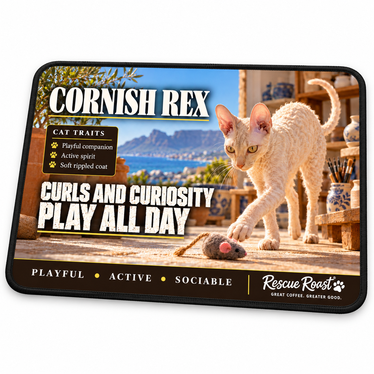 Rescue Roast Cornish Rex mousepad: A cream Cornish Rex reaches towards a toy mouse in a sunny ceramics studio with brushes, pottery and a coastal mountain view. Printed slogan: Curls and Curiosity, Play All Day.