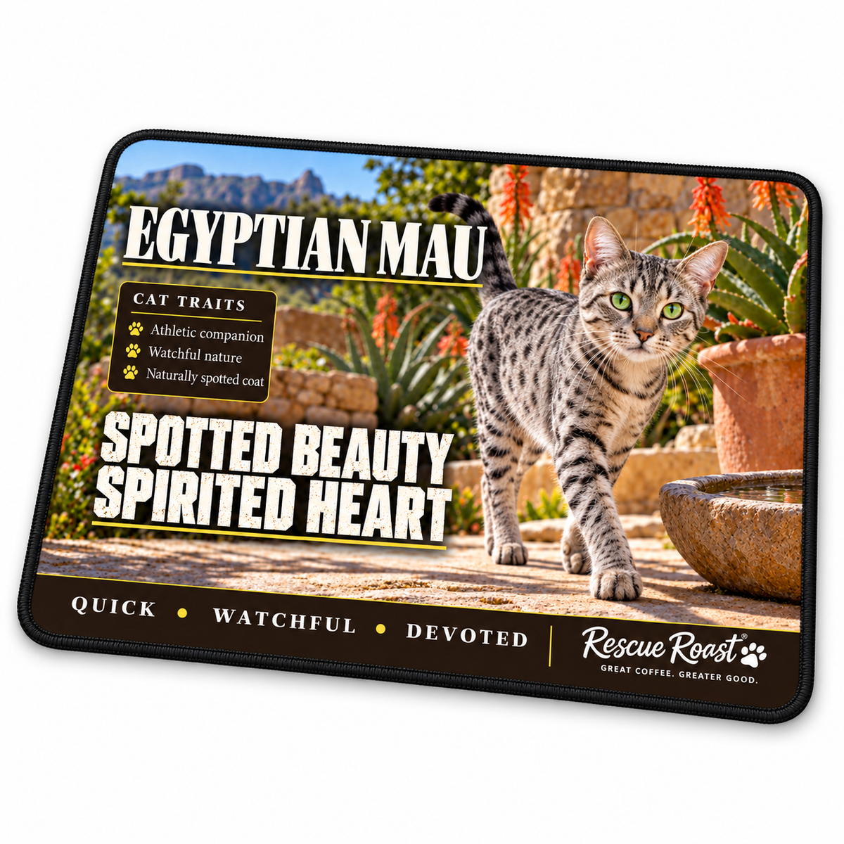 Rescue Roast Egyptian Mau mousepad: A silver-spotted Egyptian Mau with green eyes walks across a sunny stone courtyard beside flowering aloes and a water bowl. Printed slogan: Spotted Beauty, Spirited Heart.