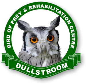 Dullstroom Bird of Prey logo